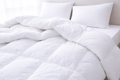 Duvet Alpine Sleep
